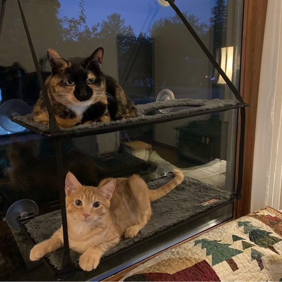 Meet your Posher, Chad - Picture 2 of 2